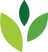 WILDERNESS INTERNATIONAL KINDERGARTEN的校徽